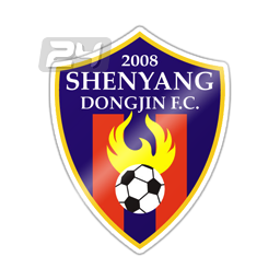 Shenyang Dongjin