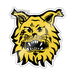 Ilves Tampere (W)