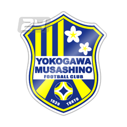 Yokogawa M. Youth